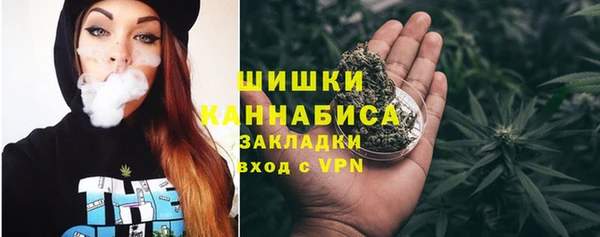 спайс Богданович