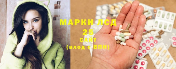 спайс Богданович