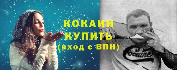 спайс Богданович