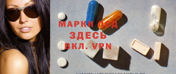 спайс Богданович