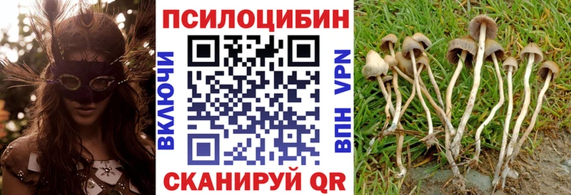 Псилоцибиновые грибы Psilocybine cubensis  kraken   Иркутск 