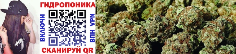 закладка  Иркутск  Бошки Шишки Amnesia 